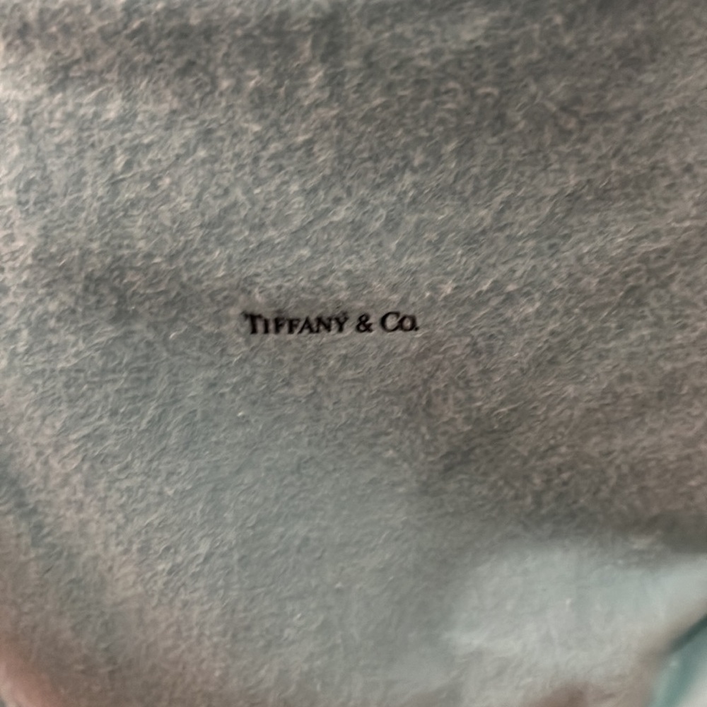Tiffany and Co Suede blue bucket bag - Picture 15 of 15